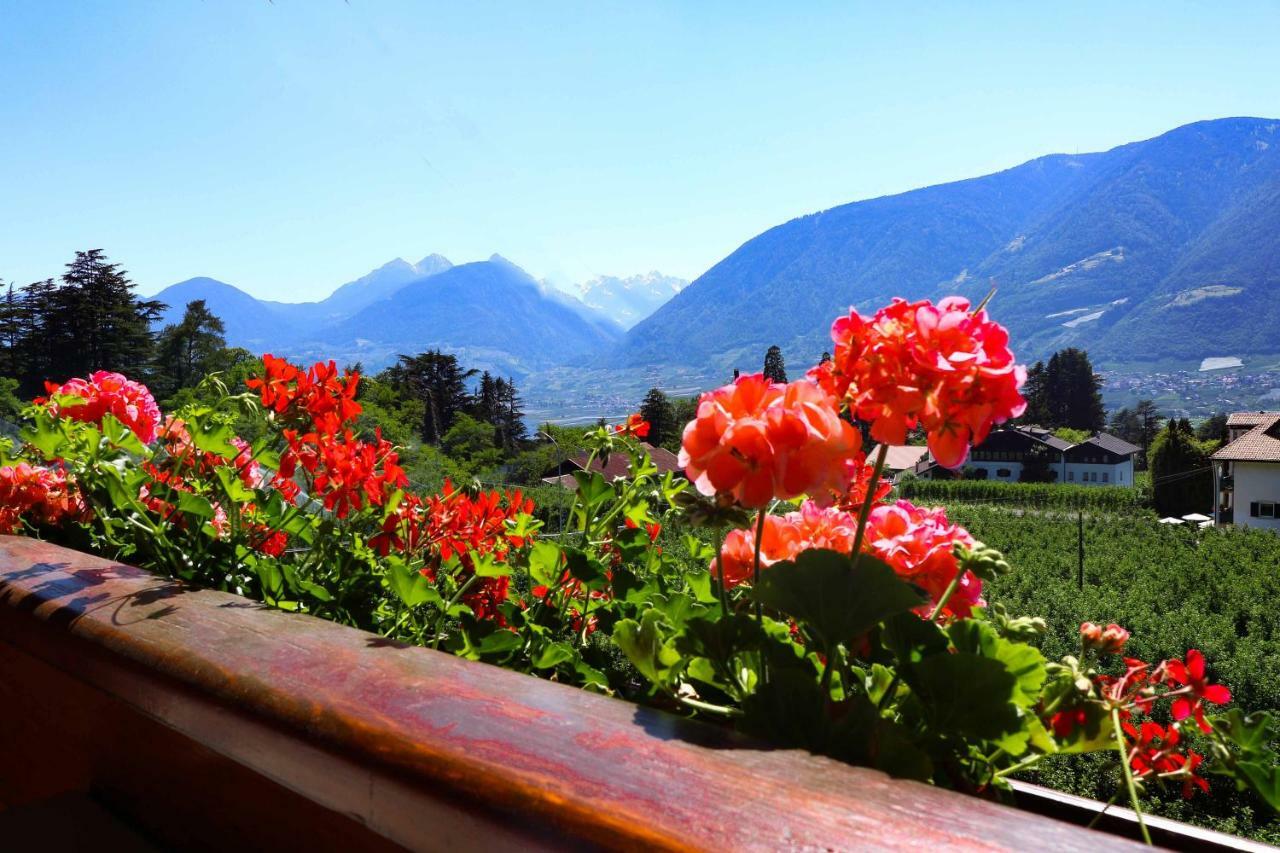 Guesthouse Pension Grafenstein Merano Extérieur photo
